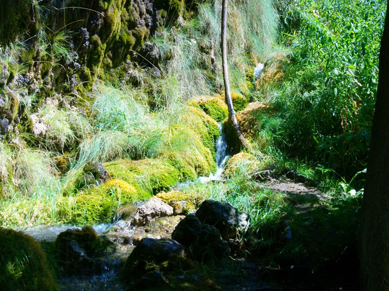 Aguaspeña: un monumento natural en construcción en Checa