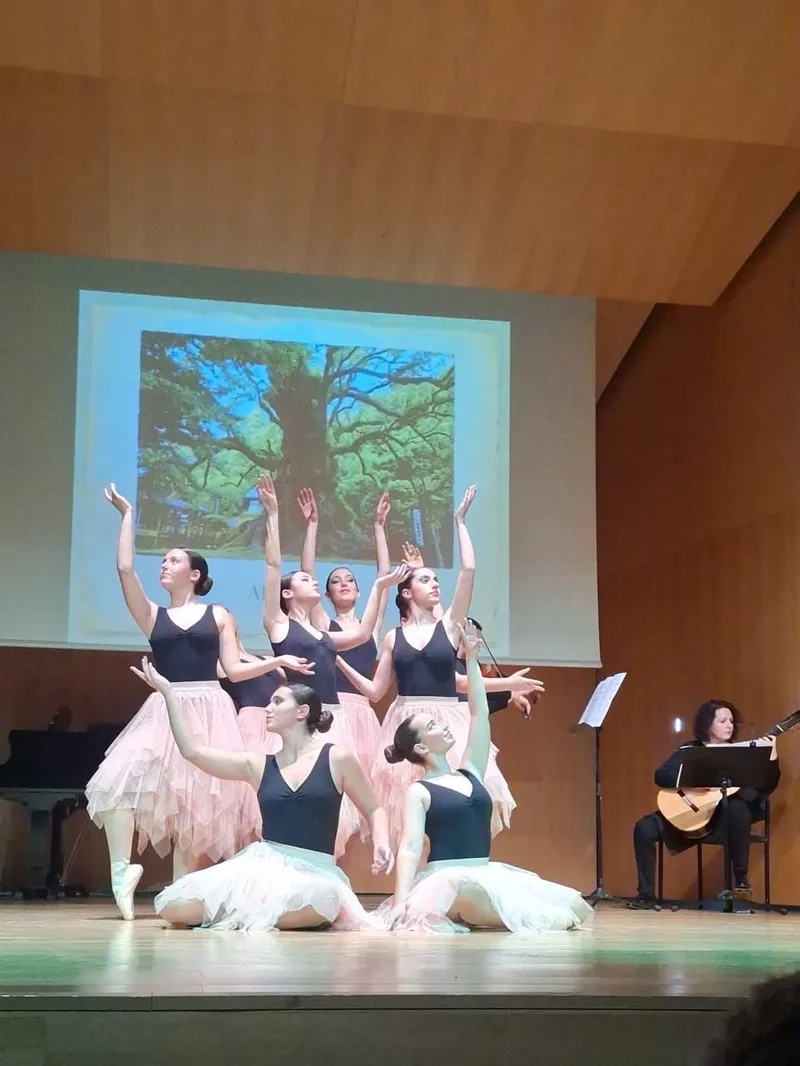 Orihuela renueva el suelo del aula de danza del Conservatorio por seguridad y calidad