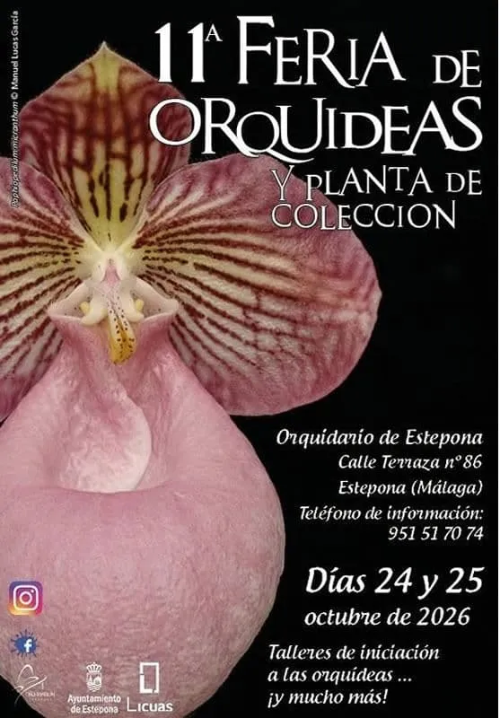 Estepona celebra la 11ª Feria de Orquídeas y Planta de Colección este fin de semana