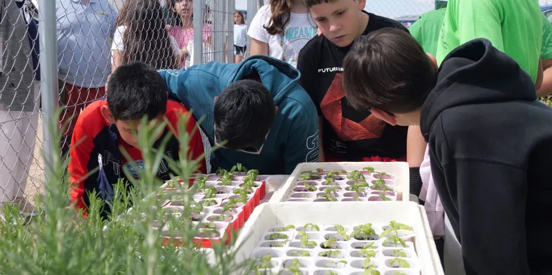 Escolares de Alovera aprenden sobre agricultura ecológica en la escuela municipal