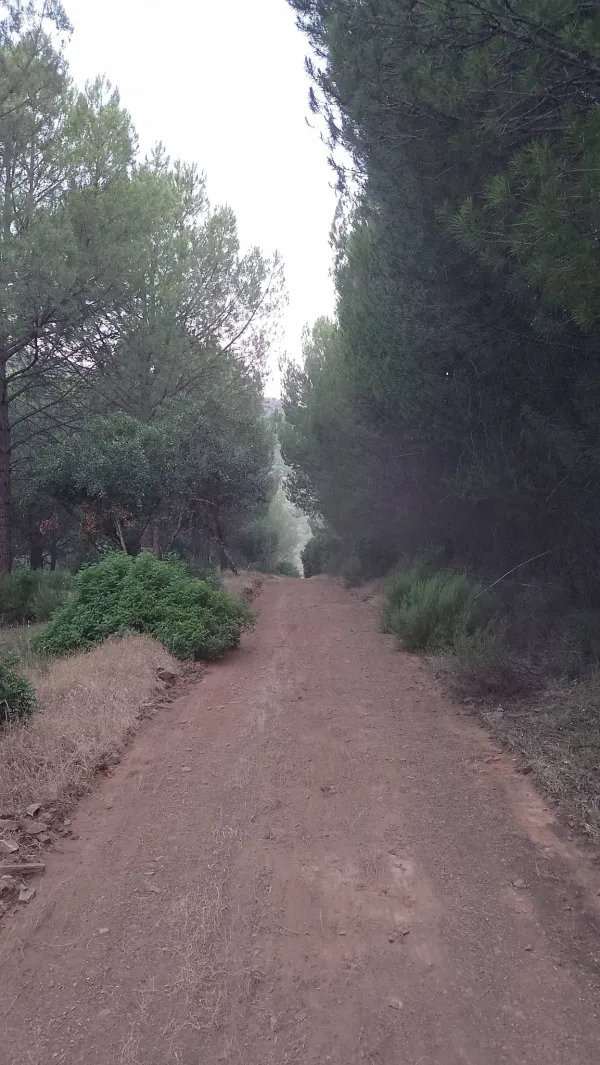 Castellar finaliza el arreglo de caminos de la Sierra del Oro antes del inicio del Plan INFOCA