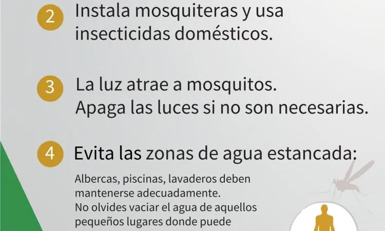 Casariche lanza recomendaciones para prevenir el Virus del Nilo Occidental ante la llegada del calor