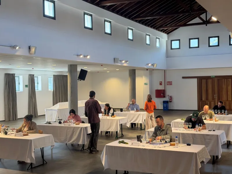 Aray Tinto 3 meses barrica triunfa en el Concurso Insular de Vinos de La Palma