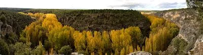 El Parque Natural de las Hoces del Río Duratón protege la mayor colonia de buitres leonados de Europa
