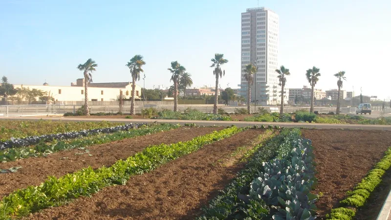 Licitación de 563.000 euros para reparar los huertos urbanos de Sociópolis en València