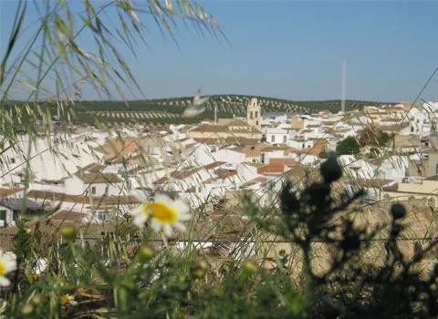 Casariche: Un Legado Histórico y Natural entre el Río Yeguas y la Sierra Sur