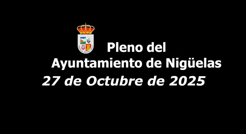 Nigüelas emite en directo el pleno municipal del 27 de octubre