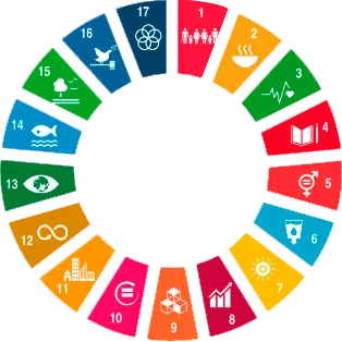 La Agenda 2030 impulsa la acción local para un futuro sostenible