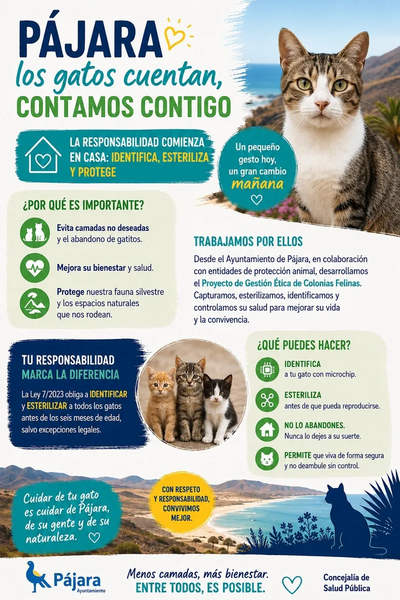Pájara insta a la tenencia responsable de gatos y a su identificación y esterilización