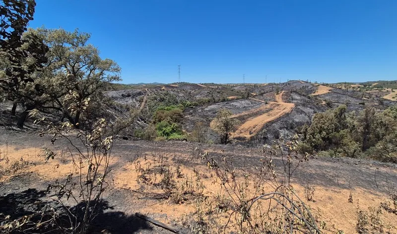 El Plan Infoca en Huelva desciende a preemergencia tras el incendio de Villanueva de los Castillejos
