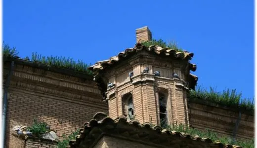 Tudela adjudica el control de palomas y estorninos por 34.000 euros