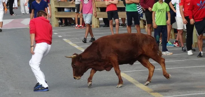 Berriozar busca voluntarios para la suelta de vaquillas de sus fiestas