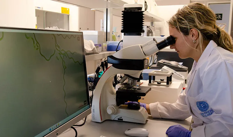 Microalgas andaluzas depuran aguas residuales y generan biomasa 'a la carta'