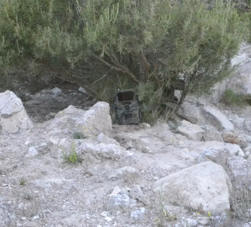 Aviso de desaparición de cámara de vida silvestre en Quinto