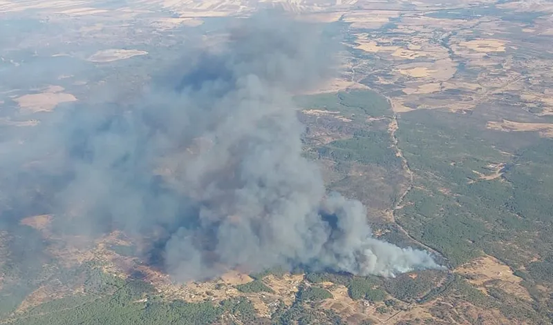 Junta de Andalucía eleva a fase de emergencia el incendio de Niebla (Huelva)