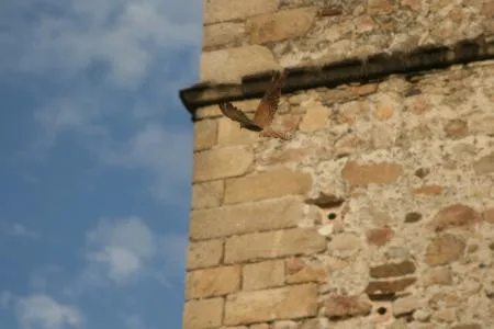 Descubre la Iglesia de San Juan Bautista y el Parque Ornitológico de Arrocampo en Saucedilla