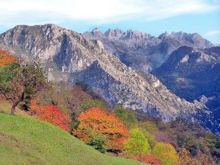 Amieva, paraíso rural asturiano, invita a descubrir sus senderos, bosques y ríos