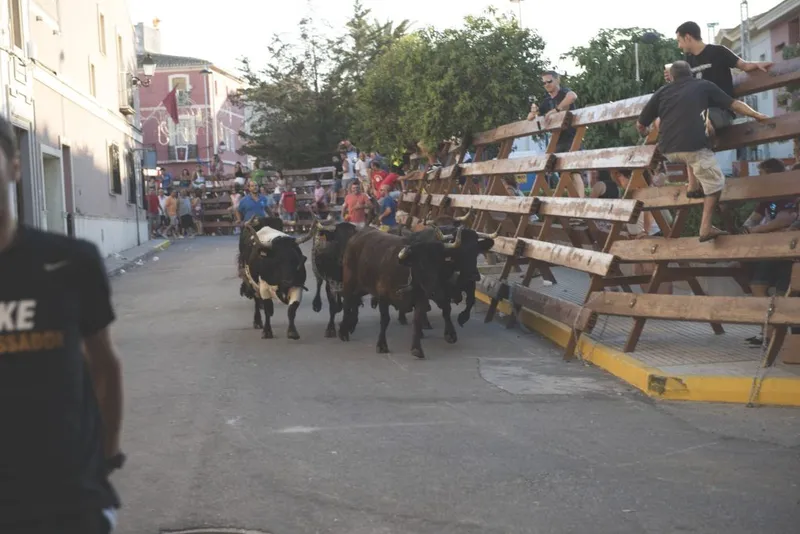 Beniarbeig reprograma los actos taurinos de sus fiestas patronales por un error administrativo