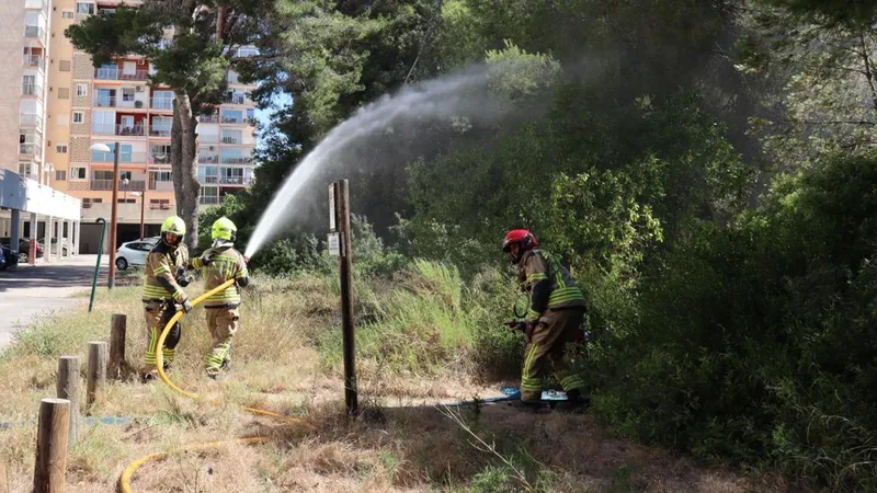 València prueba una app para comunicar bomberos y vecinos en emergencias