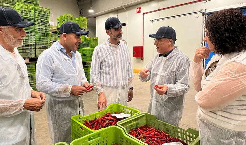 La Junta de Andalucía subraya el apoyo de los programas operativos a la horticultura