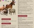 Valdecaballeros celebra la Feria de San Miguel del 27 al 30 de septiembre