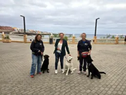 Telde pionera en Europa con un programa de formación para perros de asistencia