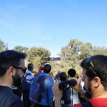Paseo ornitológico gratuito en la Casa de Campo de Madrid para mayores de 9 años