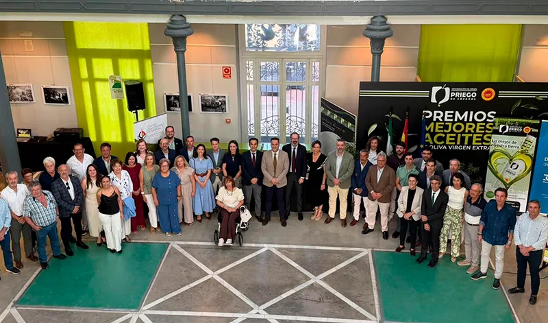 La Junta de Andalucía impulsa la IA para modernizar el olivar tradicional