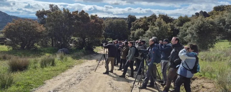 La Diputación de Ávila abre inscripciones para su curso de ornitología 'Conoce las aves de Ávila'