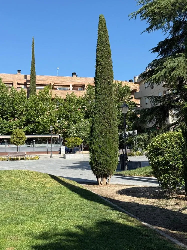 Majadahonda destina 15,9 millones a parques y jardines para los próximos 4 años