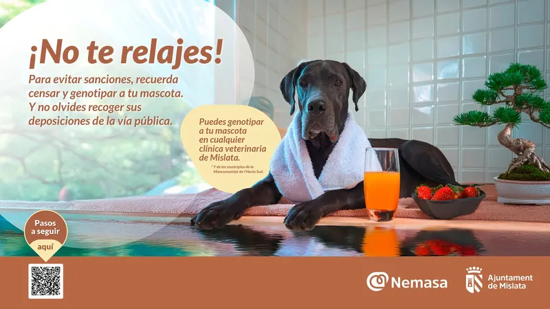 Mislata exige el registro genético obligatorio para todos los perros del municipio