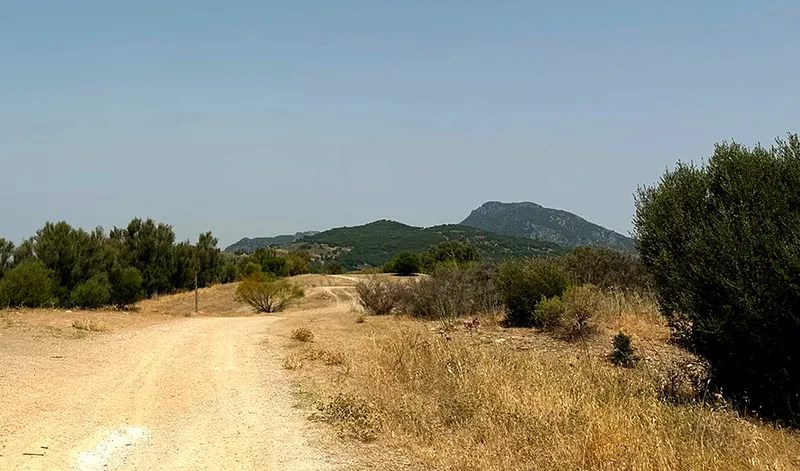 La Junta licita el aprovechamiento ganadero de pastos en Ubrique para reducir el riesgo de incendios