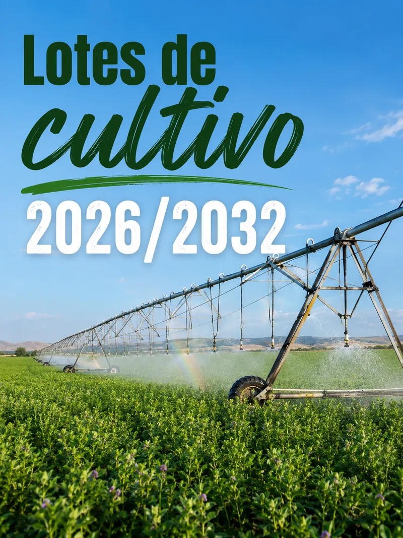 Quinto saca a subasta 170 lotes de cultivo hasta 2032 con precios estables