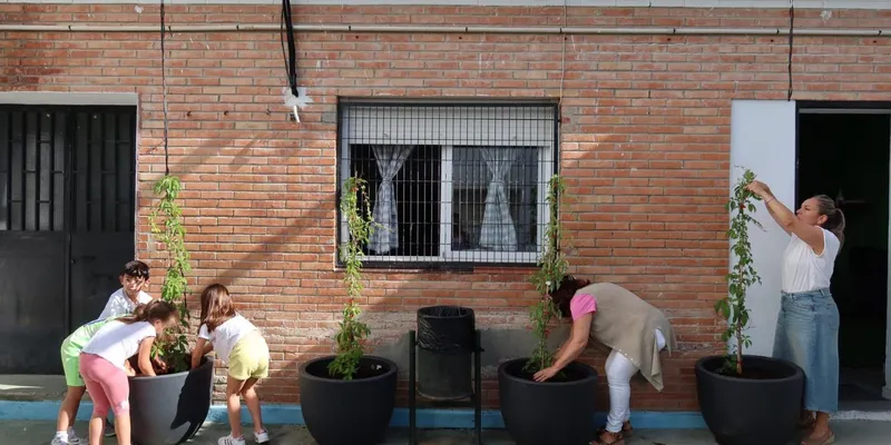 Utrera planta parras en el CEIP Rodrigo Caro para crear sombra natural