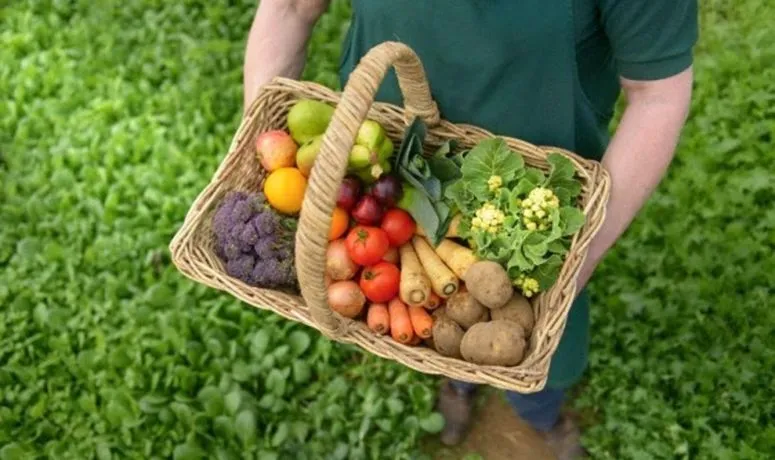 Burjassot celebra el Día de la Gastronomía Sostenible con actividades infantiles