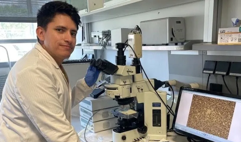 Diseñan un fluido innovador para almacenar energía solar en la Universidad de Huelva