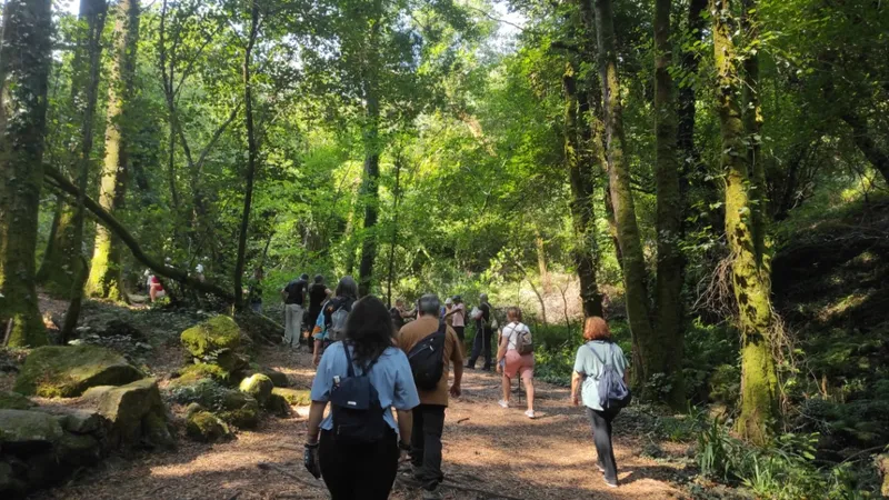 La Diputación de Pontevedra acerca la naturaleza con el programa +Bosques en Silleda y O Campo Lameiro