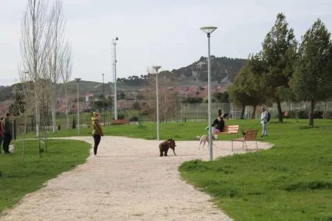Arroyo de la Encomienda endurece las normas para dueños de perros: agua jabonosa y multas más altas