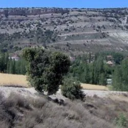 Fuentetoba: un tesoro natural y patrimonial en la provincia de Soria