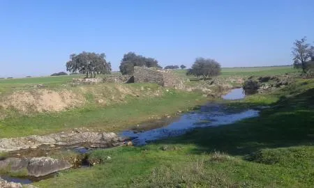 La Dehesa Boyal de Talaván, un tesoro natural accesible desde la EX-373