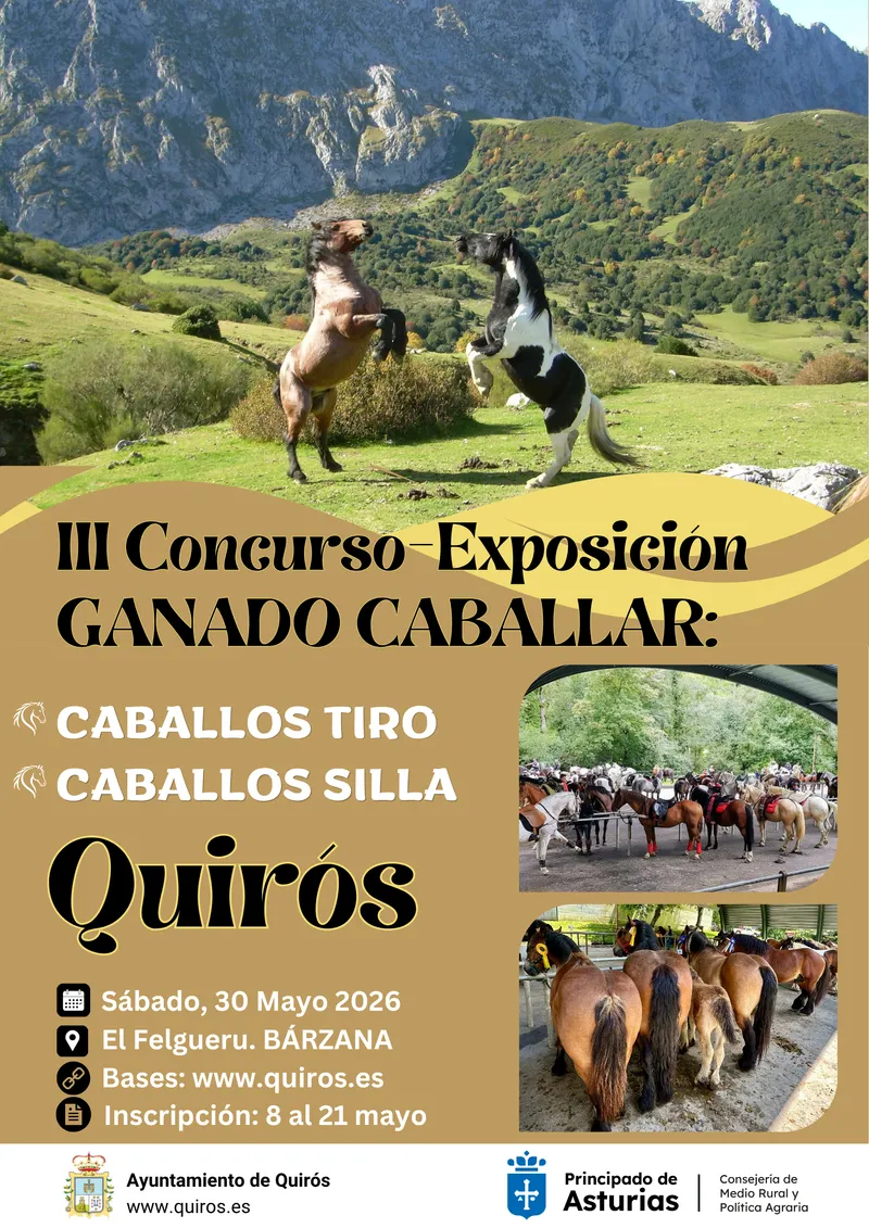 Quirós celebra su III Concurso de Ganado Caballlar el 30 de mayo