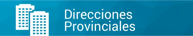 Educación en Castilla y León: Acceso a becas, ayudas y subvenciones universitarias