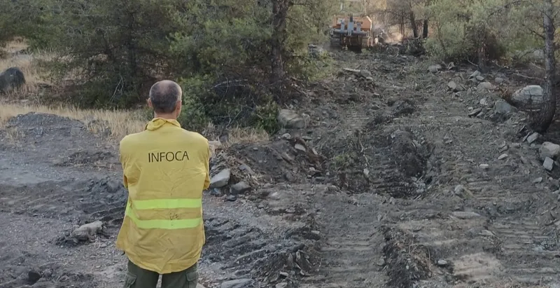 El incendio de Las Tres Villas en Almería evoluciona favorablemente