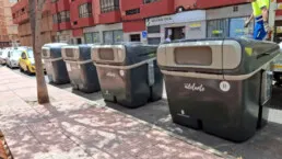 Telde elige a dos niños para dar voz a su representación en la Ofrenda del Pino en Teror