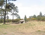 Carreño desvela sus orígenes prehistóricos y romanos