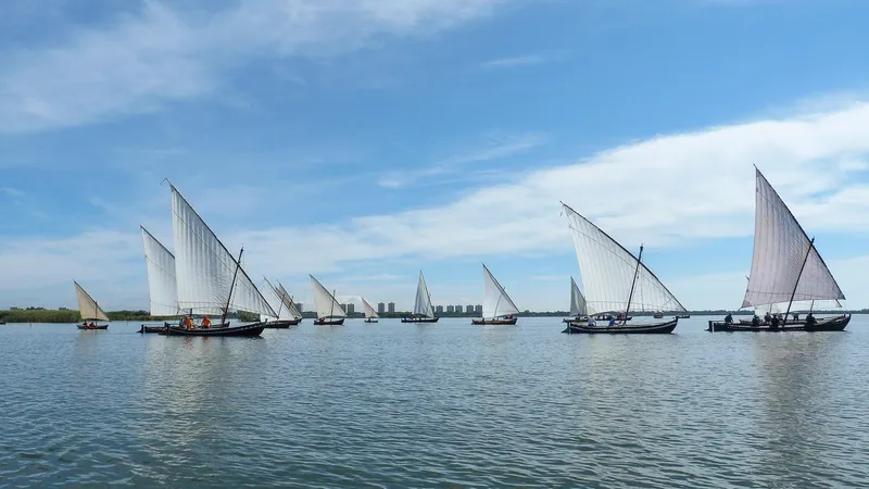 L'Albufera acoge exhibiciones de Vela Latina hasta octubre