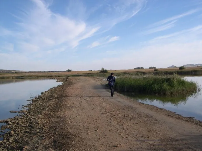 Estrenado el sendero homologado PR-AB 57 "Laguna de Pétrola" para disfrutar de aves y salinas