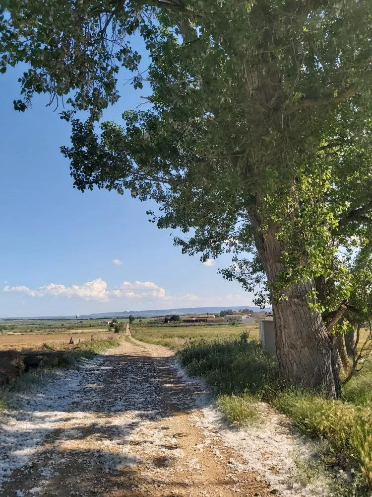 Castelflorite exige el cumplimiento de la ordenanza de caminos rurales