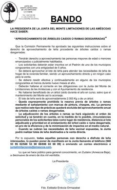 Junta del Monte de las Améscoas regula el aprovechamiento de leña de árboles caídos
