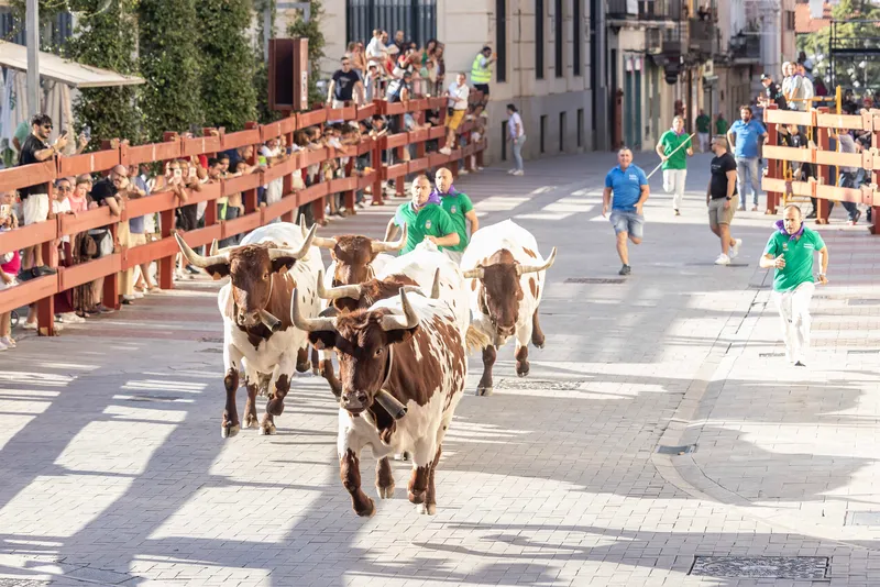 Guadalajara prueba el recorrido de los encierros con la 'Cabestrada de Saleri II' y un nuevo cabezudo
